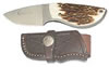 Boker Knife w/Fixed Stainless Steel Caper Blade & Stag Handle BA530H