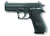 Sig P220 Carry Pistol 220R345B, 45 ACP, 3.9 in, Polymer Grip, Black Finish, Contrast Sights, 8 Rd