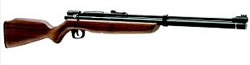 Benjamin .22 Caliber Pellets Dual Fuel Air Rifle w/Black Finish & Hardwood Stock (BP9M22GP)