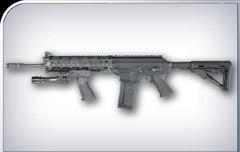 Sigarms Model 556 Rifle 556005, 223 Remington, 16 in, Semi-Auto, Collapsible Stock, Black Finish, Picatinny Rail