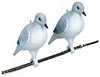 Flambeau 5930DV Dove Decoy