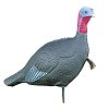 Feather Flex 00847 Aggressive Jake Turkey Decoy