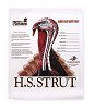 Hunters Specialties 06850 Color Turkey Targets