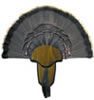 Hunters Specialties 00849 Turkey Tail/Beard Mounting Kit