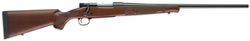 Winchester M70 Featherweight Rifle 535109211, 257 Roberts , 22 in, Grade I Walnut Stock, Blue Finish