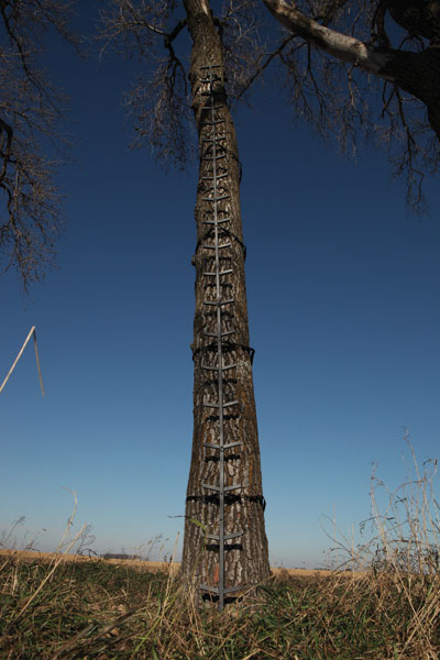 Big Game Quick Stick XL Climbing System (CR0123)