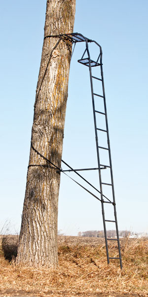 Big Game Warrior Ladder Stand (CR3801-S)