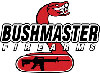 Bushmaster Magazines