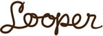 Looper Law Enforcement