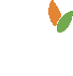 Nature Innovations