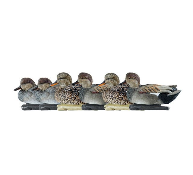 AVIAN X Topflight Gadwall Decoys (AVX-AVX8085)