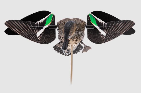 AVIAN X POWERFLIGHT HEN TEAL Decoys (AVX-PFLHT)