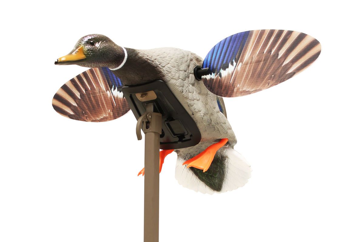 Mojo Outdoors Elite Series Mini Mallard Drake (HW2470-3P)