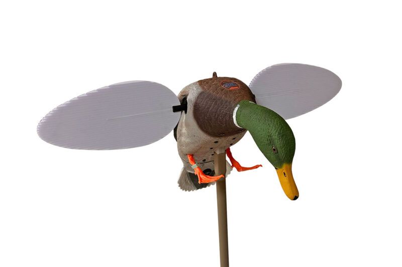 Mojo Outdoors Silver Mallard Duck 25th Anniversary (HW2025)