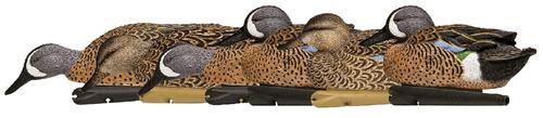 AVIAN X Topflight Blue Winged Teal Decoys (AVX-AVX8080)