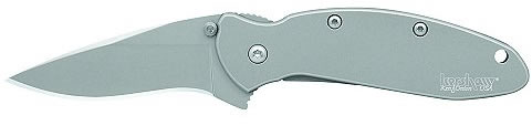 Kershaw Scallion Drop Point Folder Knife w/Partially Serrated Edge & Stainless Handl