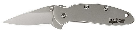 Kershaw Chive Folding Knife w/Wharnecliffe Blade & Reversible Clip 1600