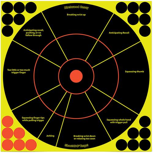 Birchwood Casey 34032 Shoot-N-C 12" Handgun Trainer 5 Pack