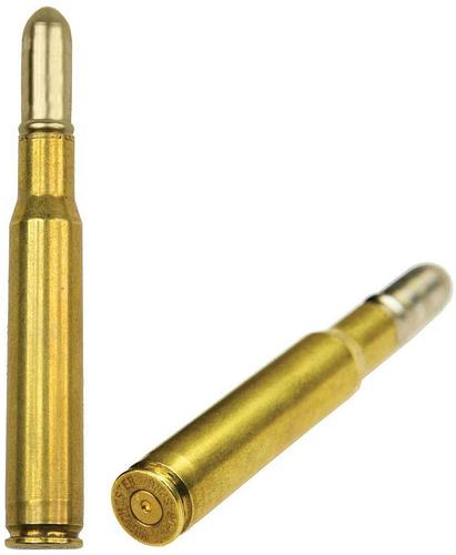 Lucky Shot Pocket Bullet Pen 30-06
