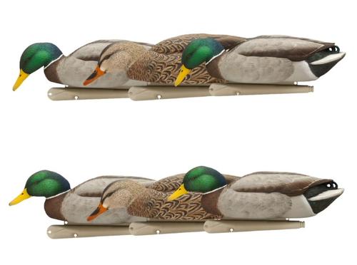 Avian-X Topflight Mallard BackWater Pack Duck Decoys, 6 Pack (AVX8070)