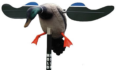 Mojo Decoys HW4401 Baby Drake Mallard Decoy