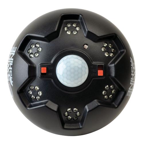 American Hunter Swine Shine Hog Light (AHHOGLITE)