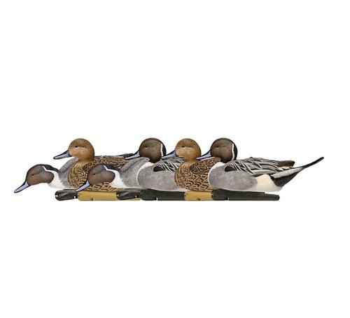 AVIAN X Topflight Pintails Decoys (AVX-AVX8082)