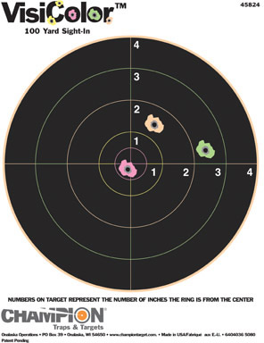 Champion 45824 Visicolor High Visibility 8" Paper Target 10 Pack