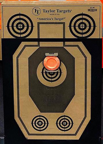 Taylor Targets Pro Series Bursta Board Target (PS-BAB) Cardboard, Holds Sporting Clays