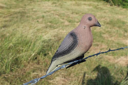 Mossy Oak Outfitters Clip-On Foam Dove Decoys Set of 6 (12345)