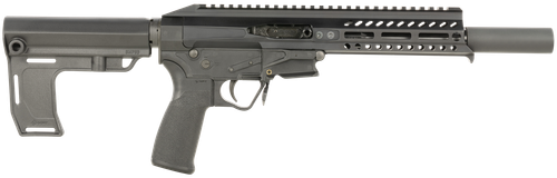 Patriot Ordnance Factory PSG Pistol 01678, 22LR, 8in, 10 Rds