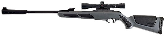 Gamo .177 Caliber Whisper Deluxe Air Rifle w/18" Barrel/Synthetic Stock (611006754)