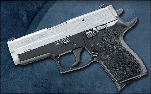 Sig P250 Pistol 250C40BSS10, 40 Smith & Wesson, 3.1 in, Polymer Grip, Two-Tone Finish, Night Sights, 9 Rd