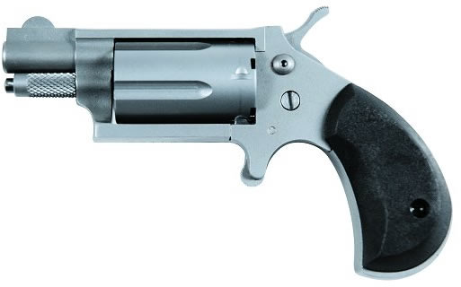 Charter Arms Dixie Derringer Revolver 72313, 22 Magnum (WMR), 1-1/8", Black Rubber Grip, Stainless Finish, 5 Rd