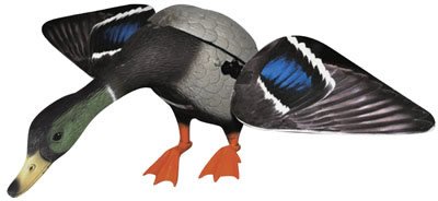 Edge Expedite Hot Shot Drake (813126)