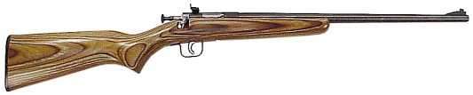 Crickett Single Shot Bolt Action Rifle 255, 22 LR, 16 1/8", Brown Lam w/Pistol Grip Stock, Blued Steel Finish