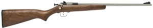 Crickett Single Shot Bolt Action Rifle 238SS, 22 Long Rifle, 16.125 in, Wood Stock, Stainless Steel Finish