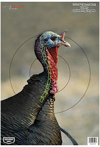 Birchwood Casey Pregame Turkey Hunting Practice Targets, Pack of 8 (35403)