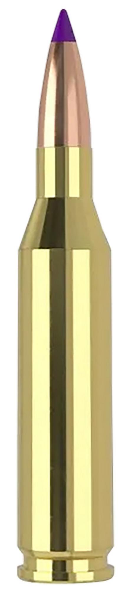 Nosler Ballistic Tip Rifle Ammunition 40041, 243 Win, Ballistic Tip Varmint, 70 gr, 3500 fps, 20 Rd/Bx